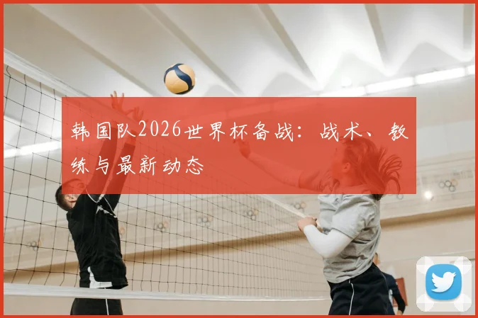 韩国队2026世界杯备战：战术、教练与最新动态