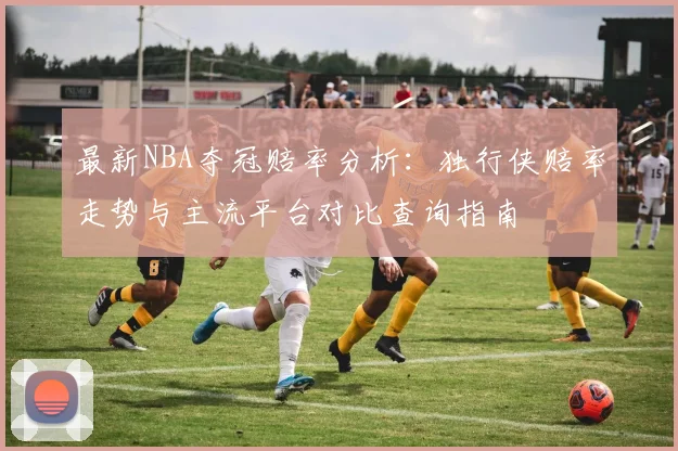 最新NBA夺冠赔率分析：独行侠赔率走势与主流平台对比查询指南